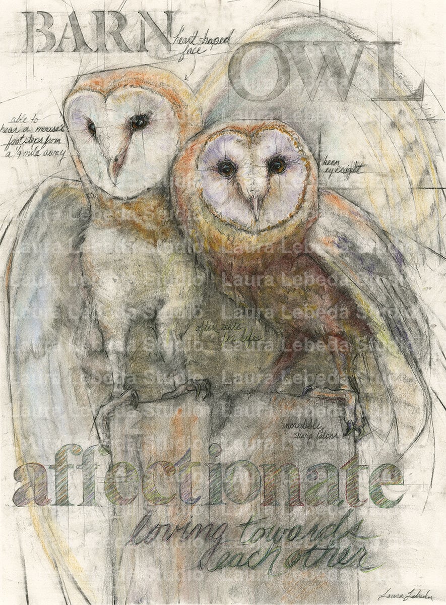 "Kindred Spirits" Barn Owls, 26" x 34" SOLD
