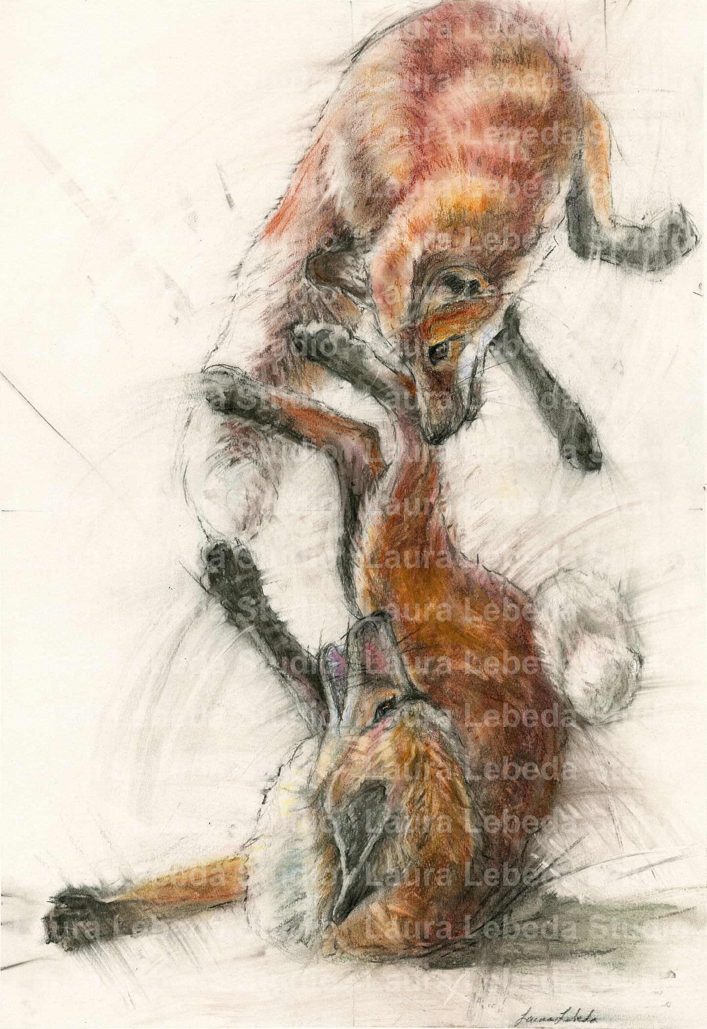 "Frolicking Foxes," Framed 26" x 34" SOLD
