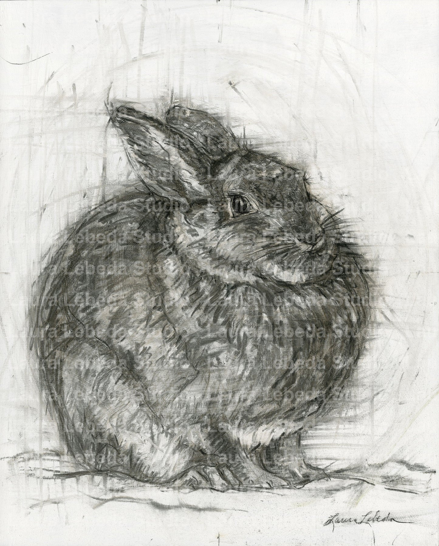 "Contentment" Cottontail Rabbit - 20" x 16" SOLD