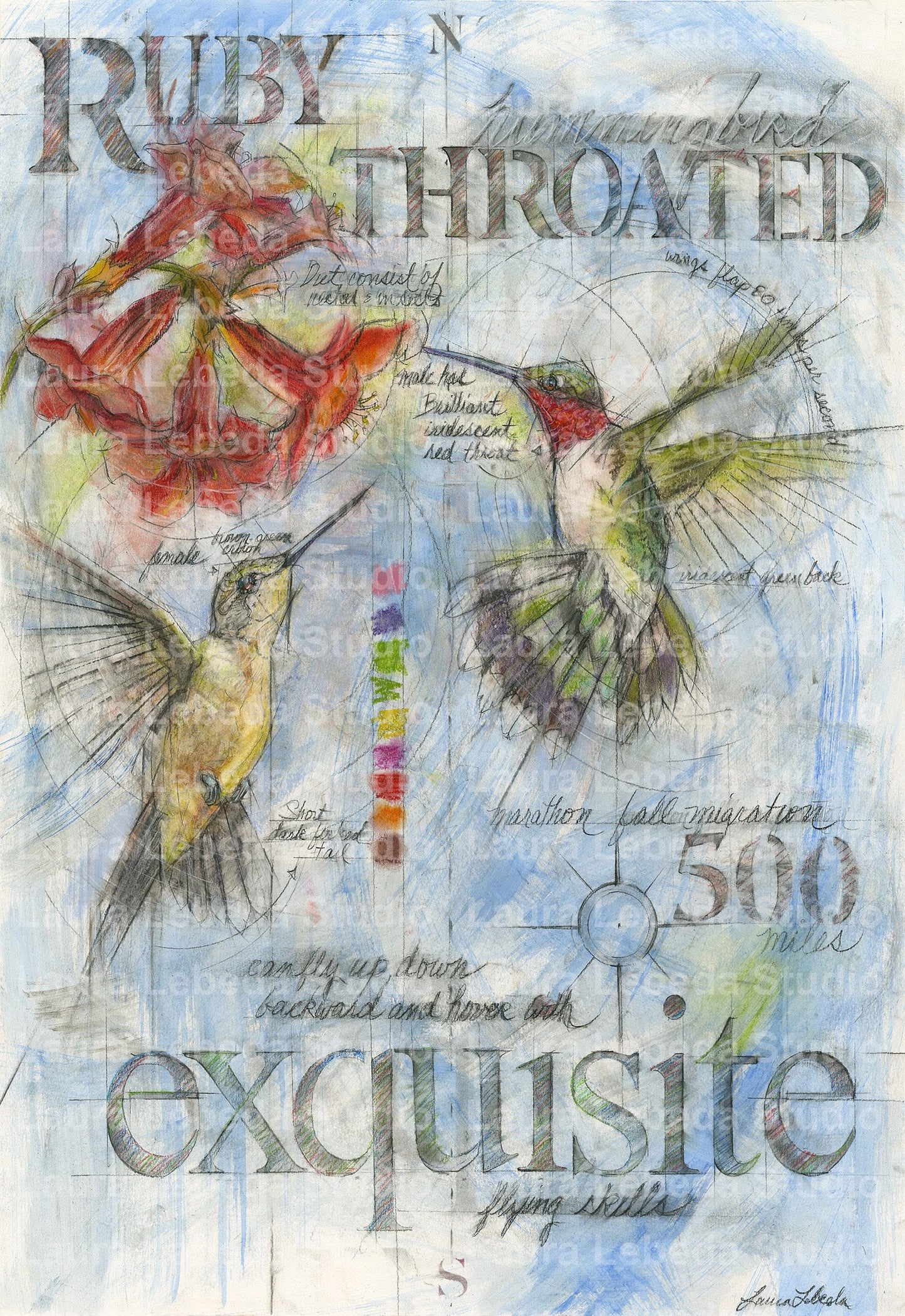"Exquisite" Hummingbirds, 26" x 34" SOLD