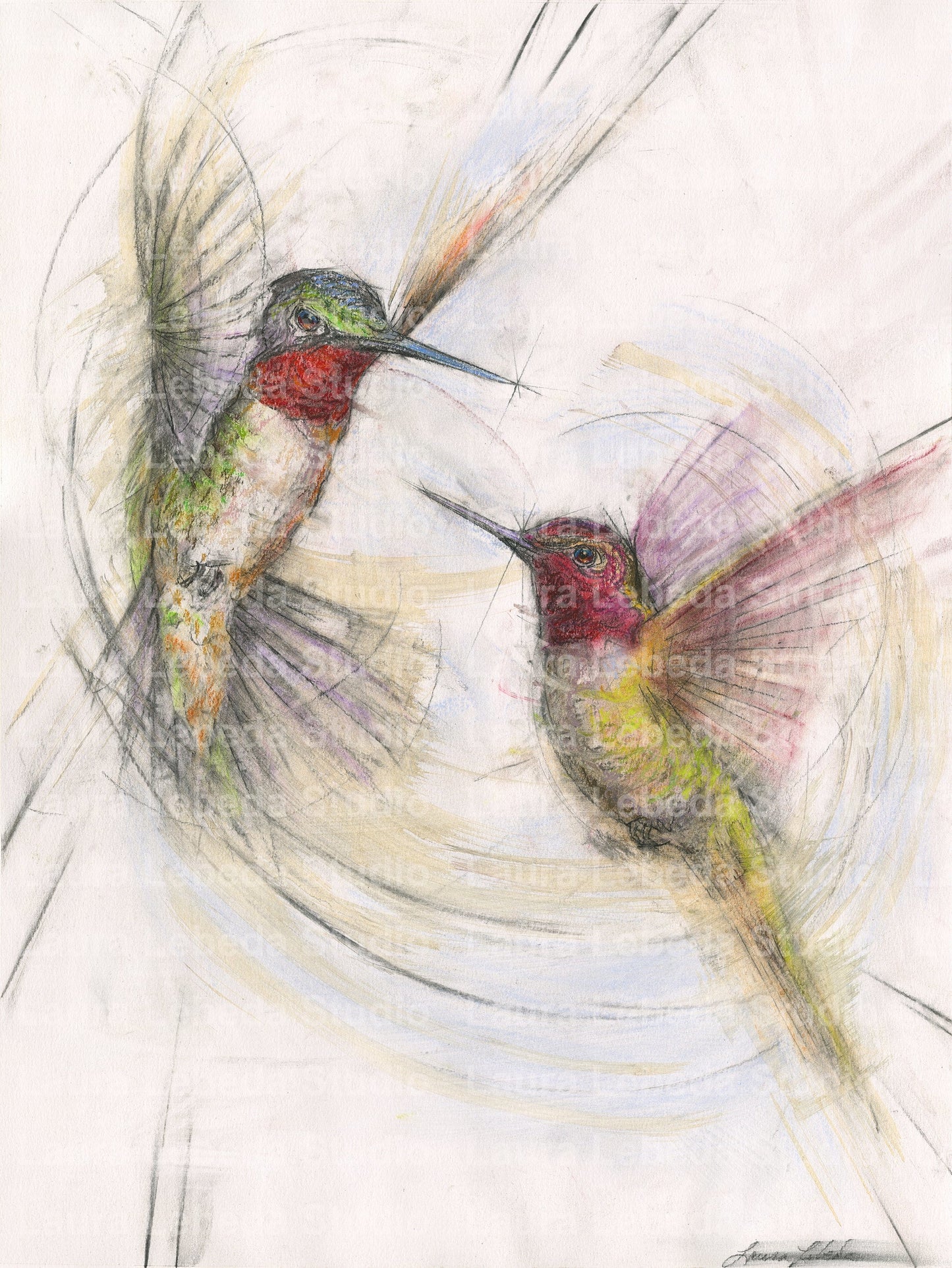 "Companions" Hummingbirds, Giclée Print
