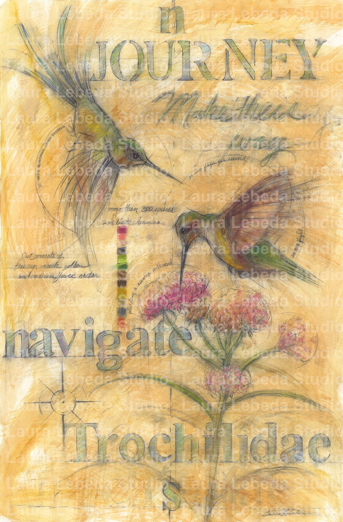 "Journey" Hummingbirds 29" x 42" Available through Edgewood Orchard Gallery