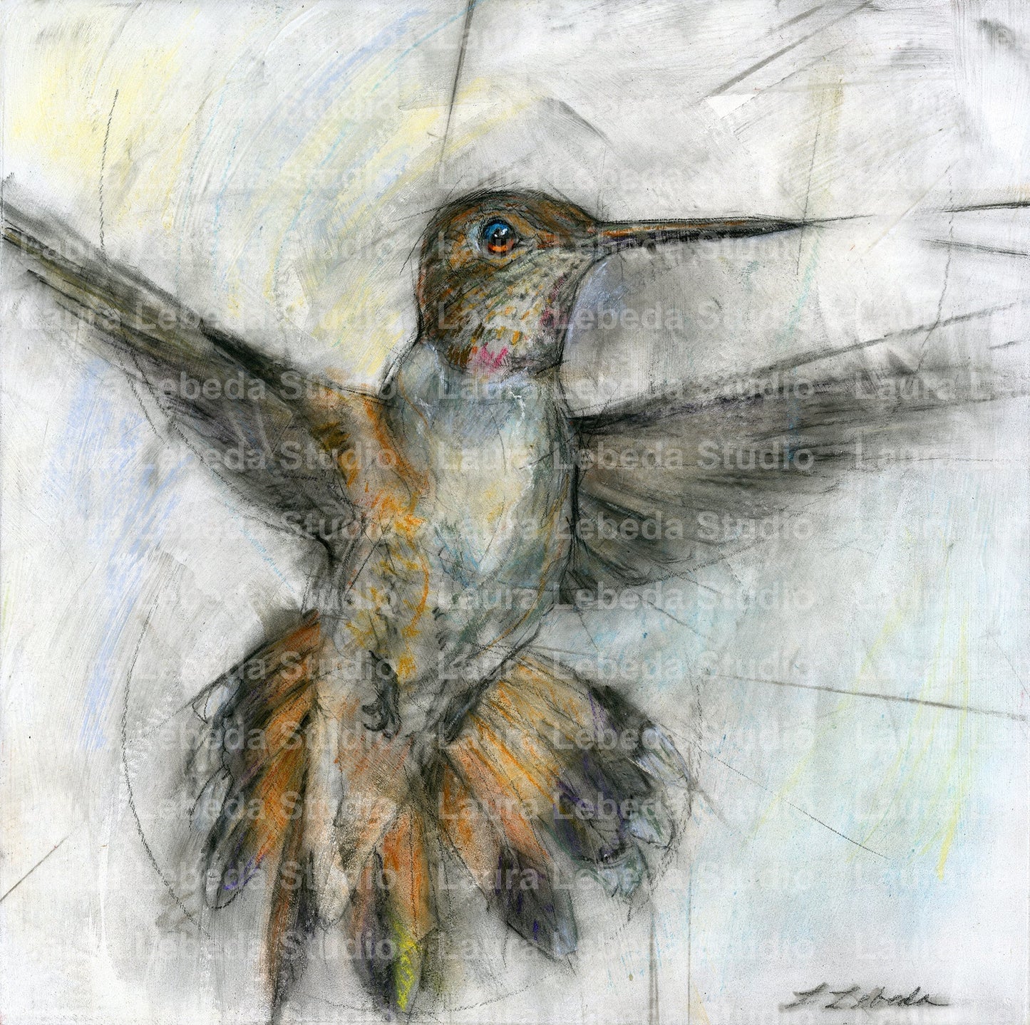 Hummingbird 002 - Giclée Square Print