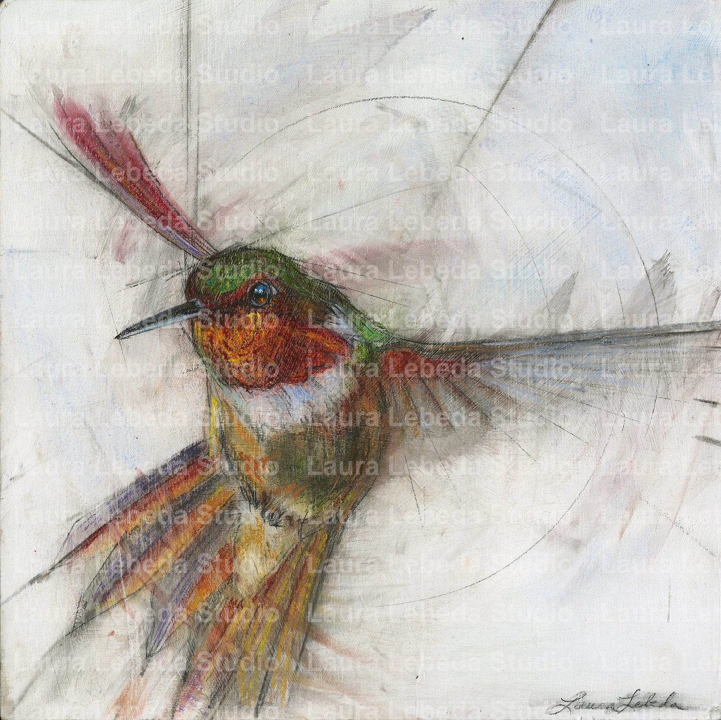 Hummingbird 006 - Giclée Square Print