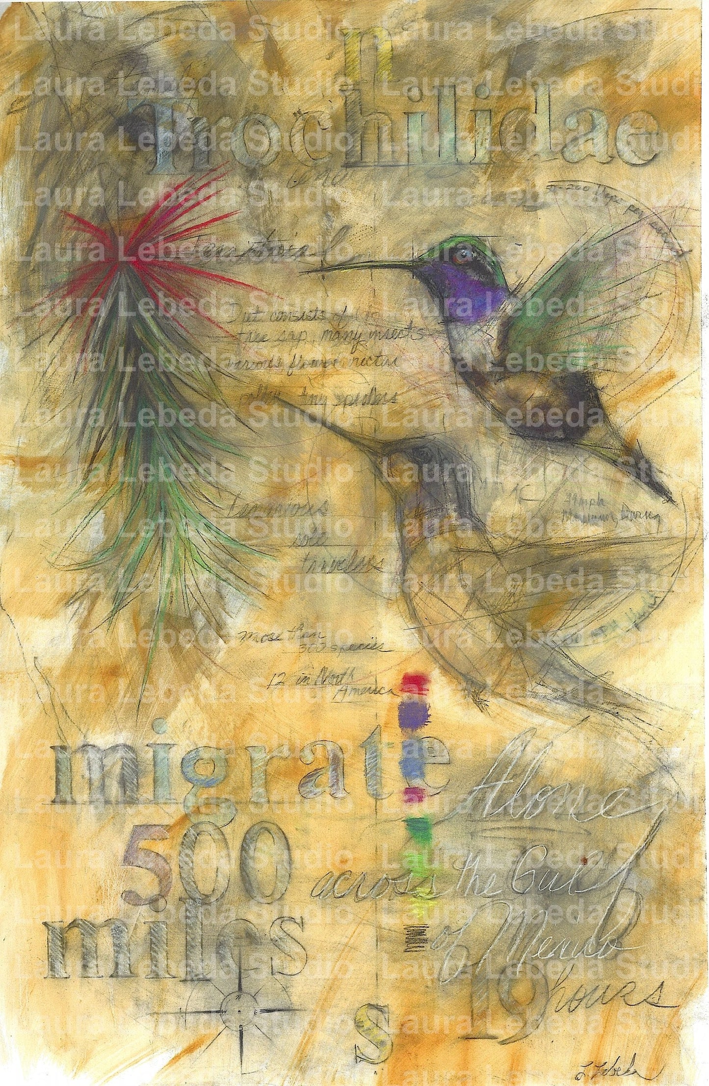 "Hummingbirds Migrate" - Giclée Print