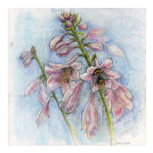 Bumble Bee with Pink Hosta Flower - Original Drawing