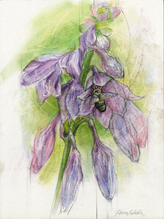 Bumble Bee on Purple Hosta Flower - Original Drawing