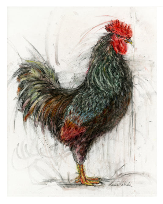 Black Old English Bantam Rooster - Original Drawing