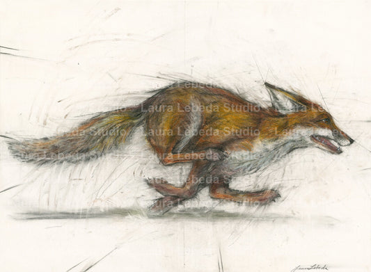 "Carpe Diem" Red Fox, Giclée Print