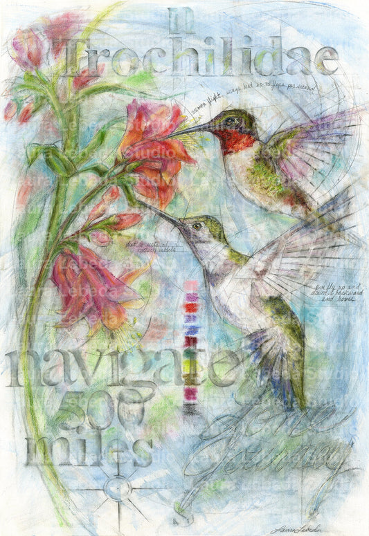 "Navigate" Hummingbirds, Giclée Print