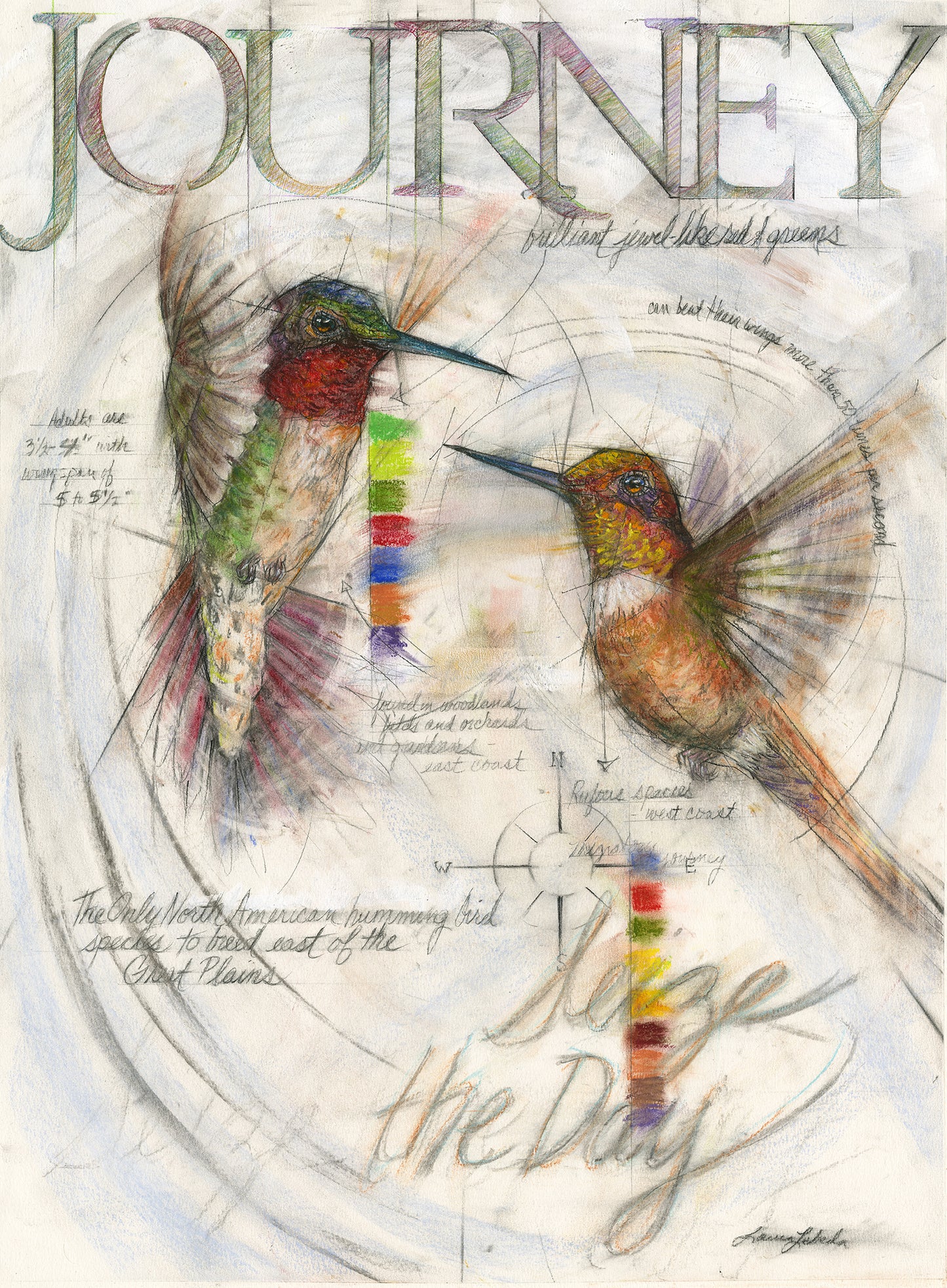 "Journey" Hummingbirds, 26" x 34"