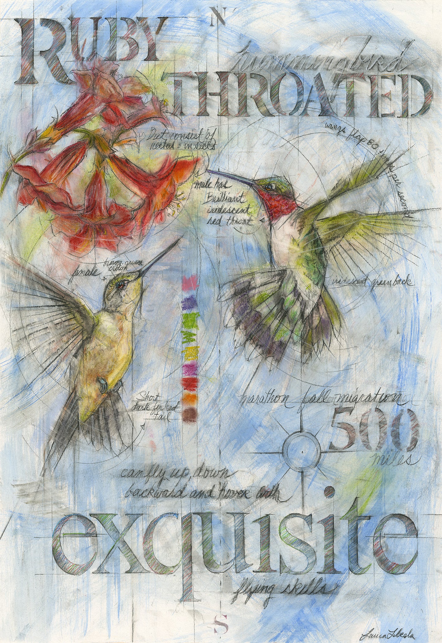 "Exquisite" Hummingbirds, 26" x 34"