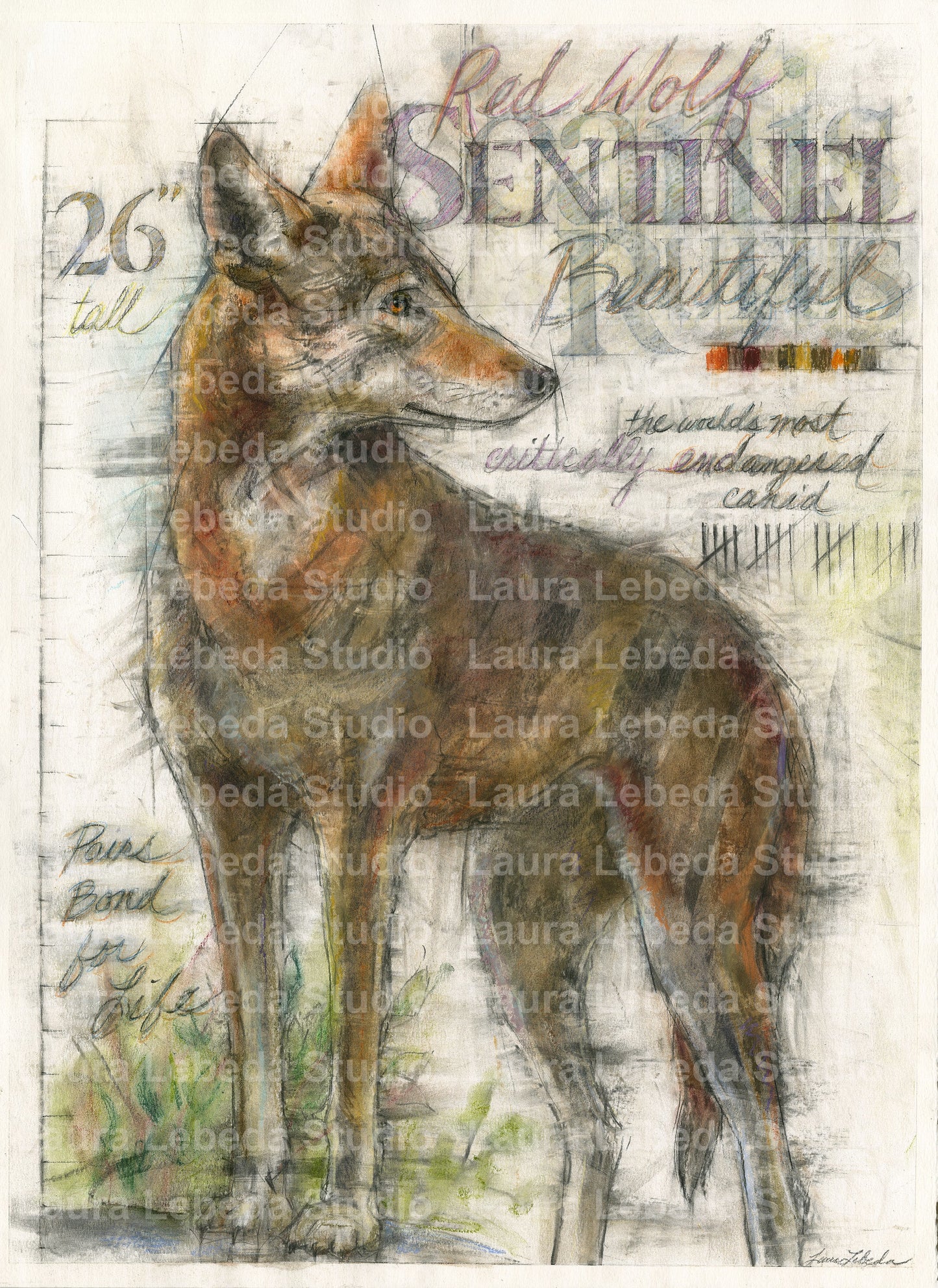 "Sentinel" Red Wolf, Giclée Print