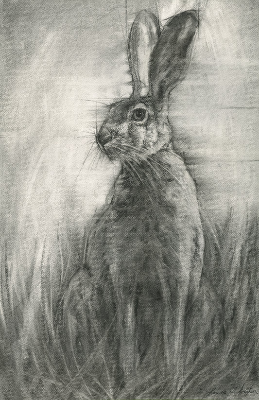 "Listen" Hare, 19"x26" SOLD