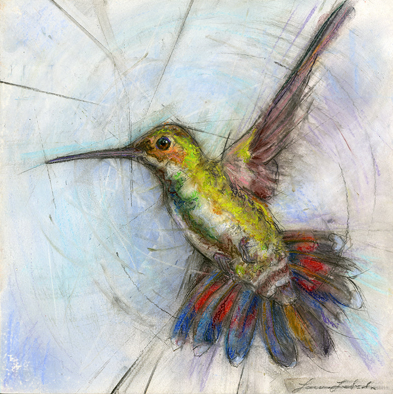 Hummingbird 004 - Giclée Print 10"x10"