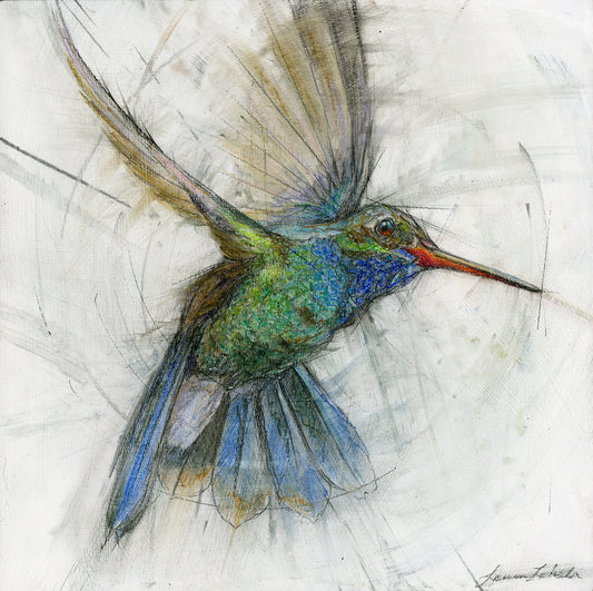 Hummingbird 005 - Giclée print 10"x10"