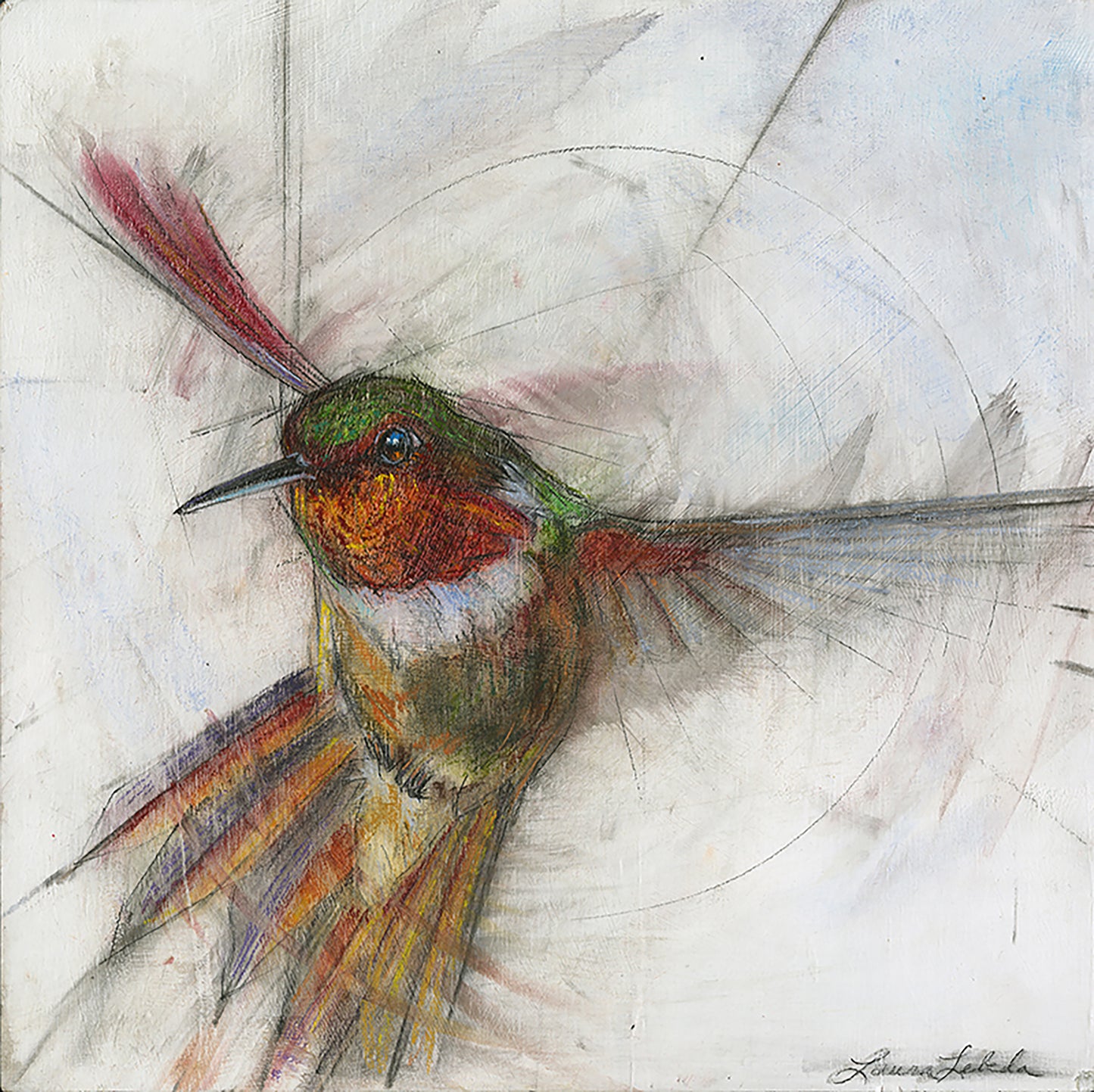 Hummingbird 06 - Print On Wood