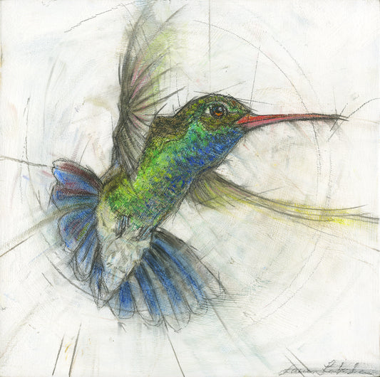 Hummingbird 09 - Print On Wood