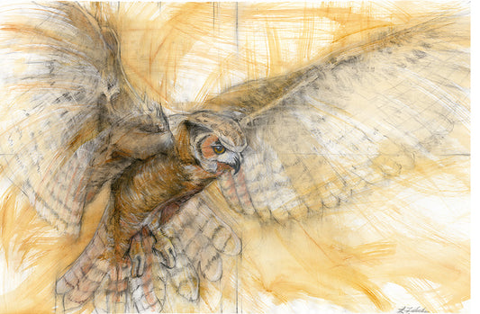 "Great Horned Owl" - Giclée Print, Various Sizes