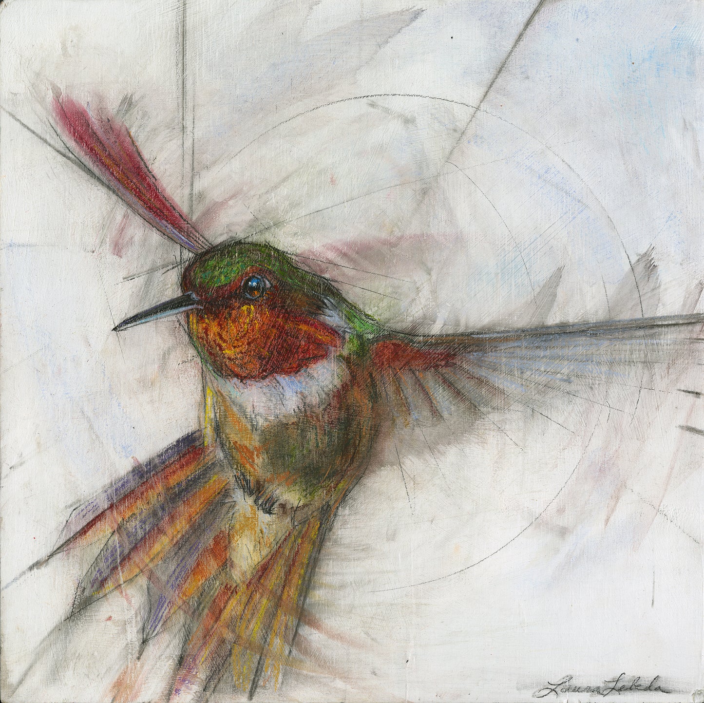 Hummingbird 006 - Giclée print 10"x10"