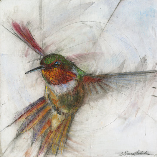 Hummingbird 006 - Giclée print 10"x10"