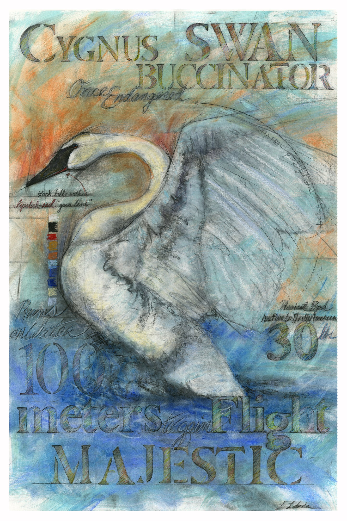 "Magestic Swan" - Giclée Print, Various Sizes