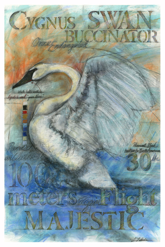 "Magestic Swan" - Giclée Print, Various Sizes