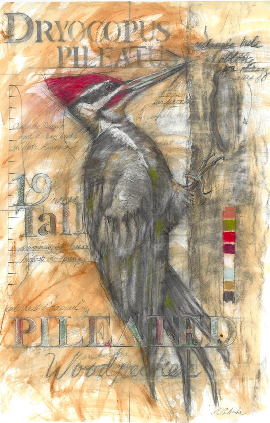 "Pileated Woodpecker" - Giclée Print, Various Sizes